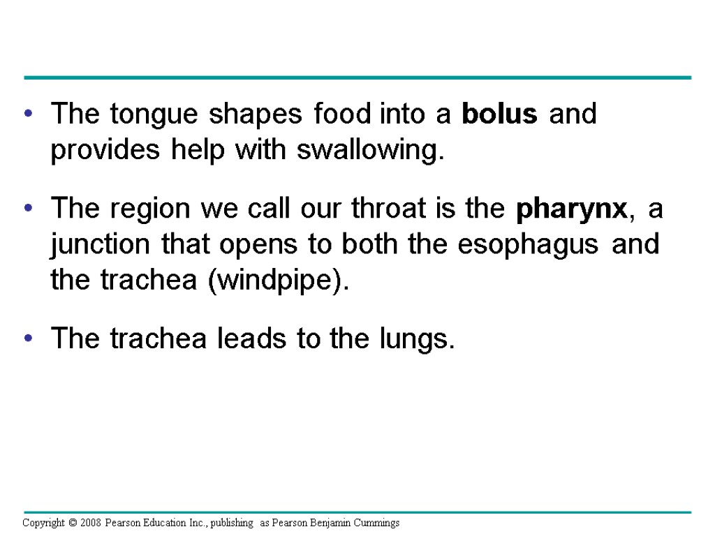 The tongue shapes food into a bolus and provides help with swallowing. The region